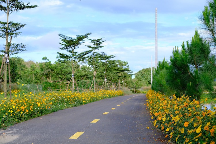Bảo Lộc Park Hill 4E – TINH HOA SỐNG GIỮA THIÊN NHIÊN 7 cap nhat tien do thi cong khu dan cu bao loc park hill 4