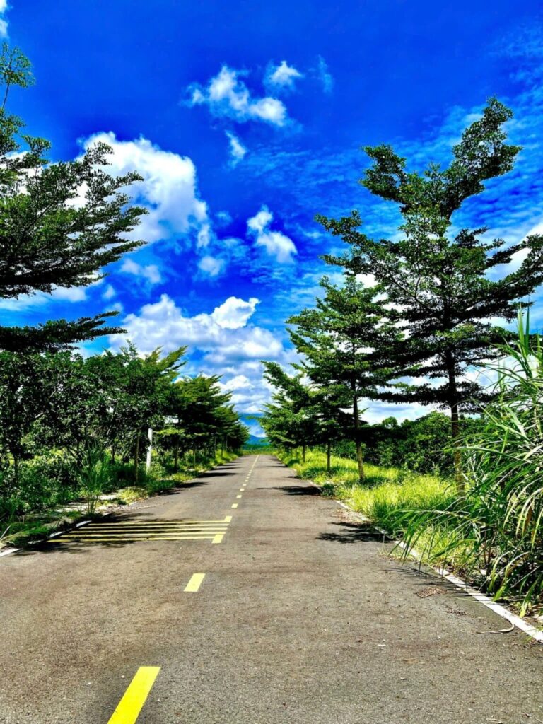 Bảo Lộc Park Hill 4C 7 Ha Tang BL Park Hills 4C1 1152x1536 1