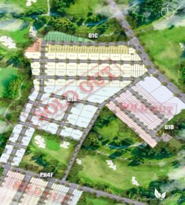 Hoa do Green Valley 1C 812x900 1