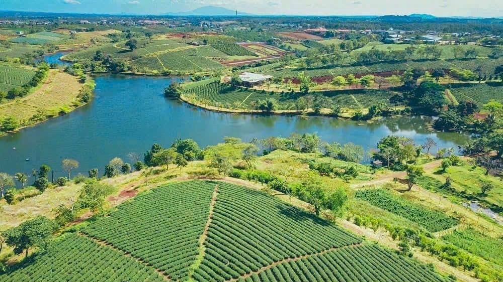 Bảo Lộc Park Hill 4D – Giai Đoạn 1 4 View ho rung thong BL Park Hills 4D GD11